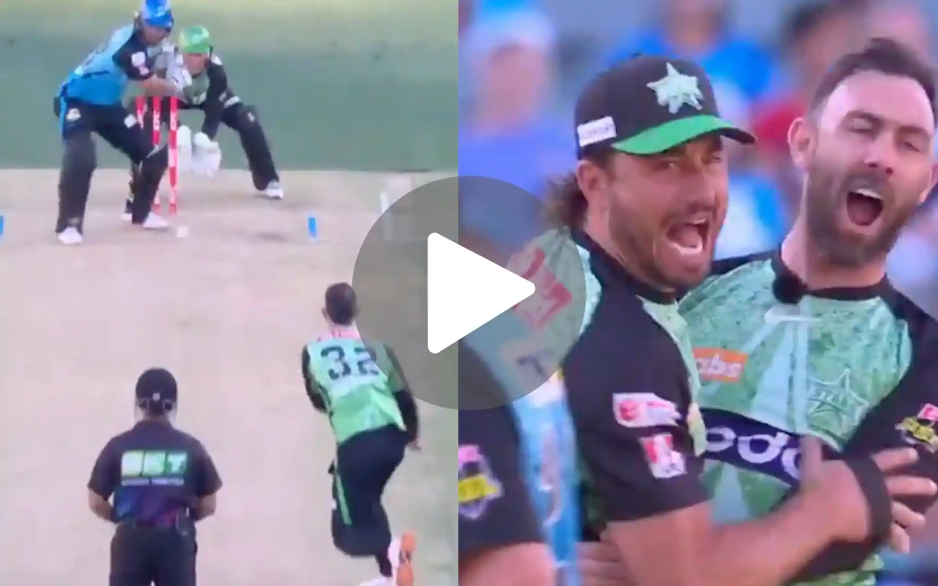 [Watch] Glenn Maxwell And Stoinis Celebrate As Ex-RCB Star Shines In STR vs STA BBL Match